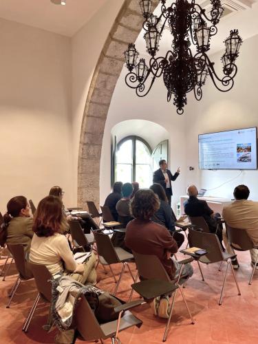 programa descarbonització